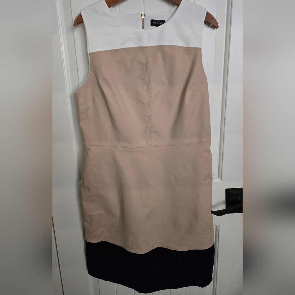The Limited Dress